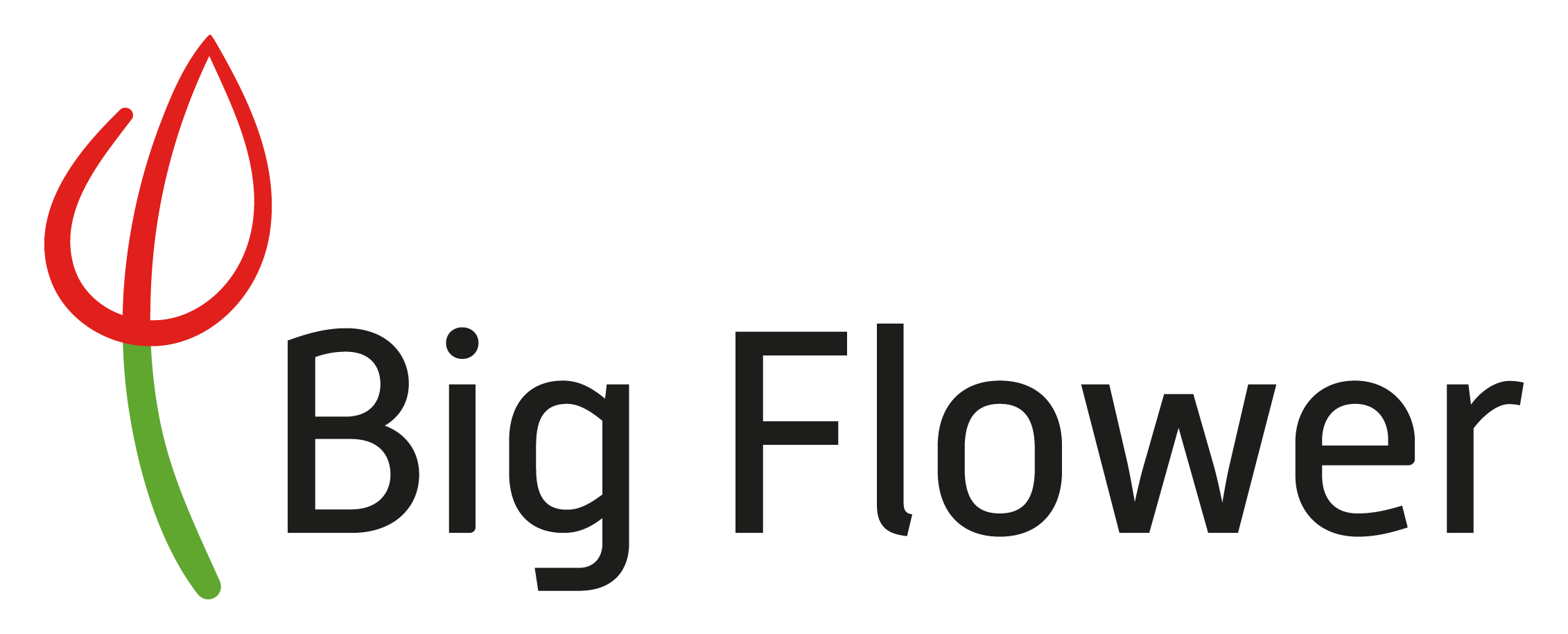 logo Big Flower website